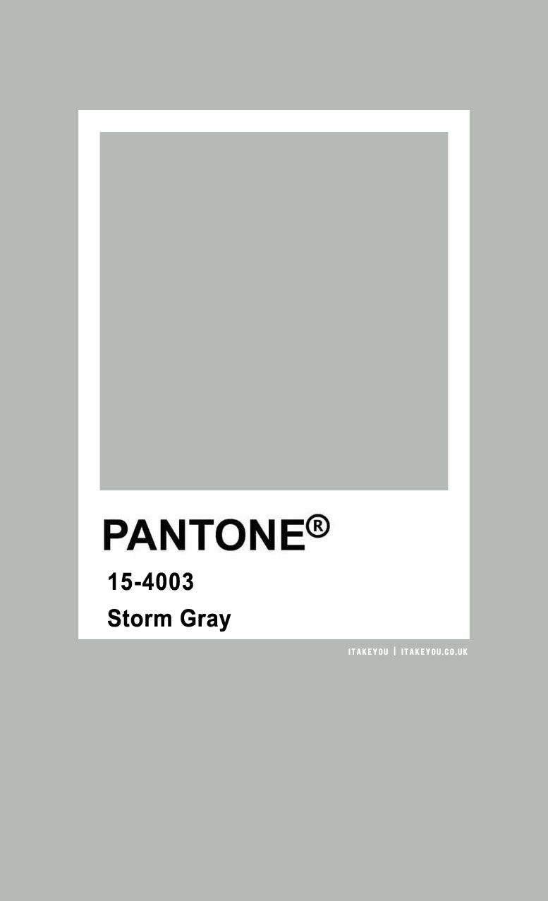 Pantone Color : Pantone Storm Gray Color I Take You, Wedding Readings, Wedding Ideas, Wedding Dresses